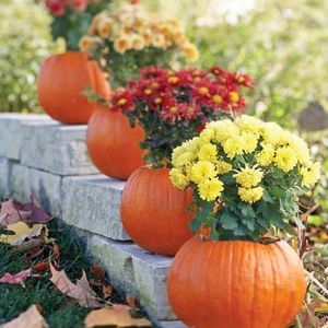 Meet your Posher, Anele